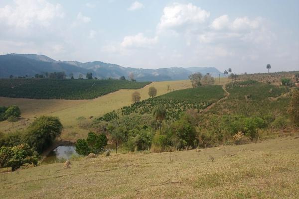 Este é ótimo, sítio para renda e lazer, para cultivo de café e pecuária, o que possibilita ao comprador ter renda diversificada, 4 alqueires, casa, açude grande, cocheira, localizado a apenas 700 metros da rodovia asfaltada Andradas/Ibitiúra. - foto 6